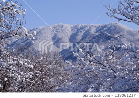 Snow-covered Fukuda-gashira, fresh snow 139061237