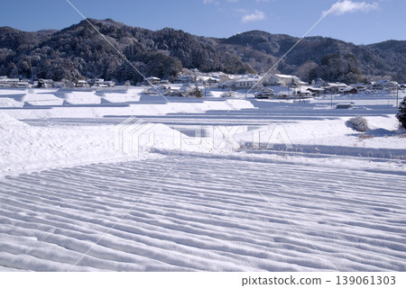 Connecting the Rice Terrace Heritage: Snowscape around the Rice Terraces of Hiwa-Mikawachi Connecting the Rice Terrace Heritage: Snowscape around the Rice Terraces of Hiwa-Mikawachi 139061303