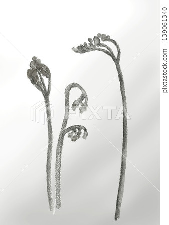 A monochrome illustration of bracken ferns, heralding the arrival of spring, drawn in ink. [Hand-drawn] Copy space included. 139061340
