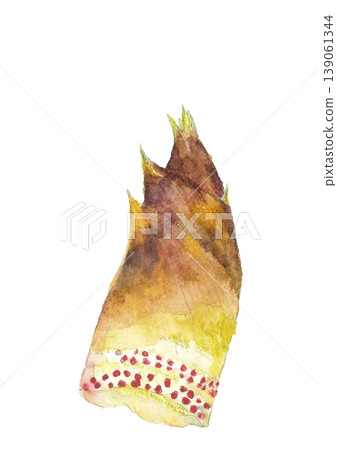 Watercolor illustration of bamboo shoots [Hand-drawn] White background with copy space and transparent background 139061344