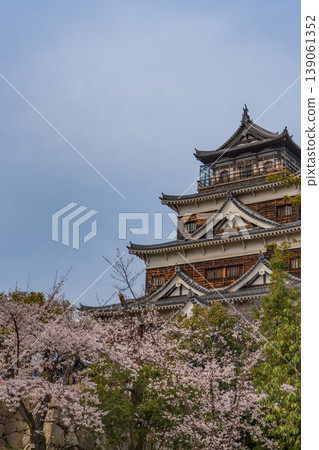 櫻花和廣島城堡城堡塔 櫻花和廣島城堡城堡塔 139061352