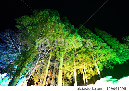 Tree illumination Tree illumination 139061696
