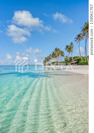 Tropical paradise beach Maldives famous ocean lagoon palm trees white sand luxury summer destination scenic travel nature island turquoise shore 139061767