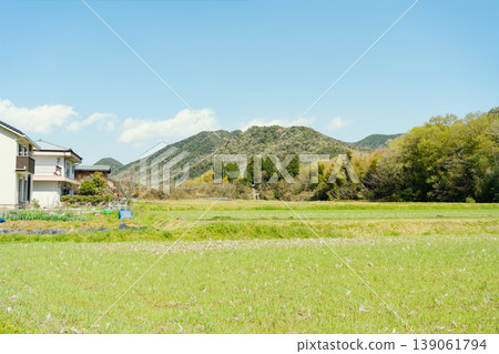 Idyllic country scenery 139061794