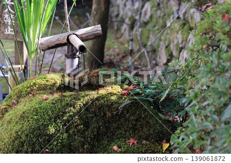 Garden Well With Bamboo Water Pump In Serene Outdoor Space Nov 27 2025 Garden Well With Bamboo Water Pump In Serene Outdoor Space Nov 27 2025 139061872