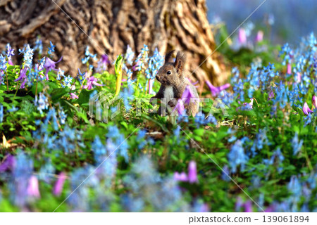 What is this flower? What is this flower? 139061894