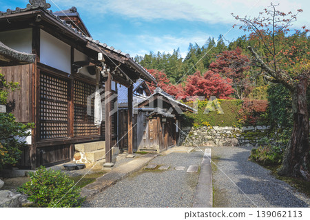 Brilliant Autumn Maple Leaves in Sakamoto Shiga Japan Nov 27 2025 Brilliant Autumn Maple Leaves in Sakamoto Shiga Japan Nov 27 2025 139062113