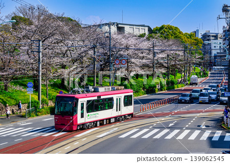 東京櫻花電車：電車與飛鳥山公園盛開的櫻花交相輝映。 139062545
