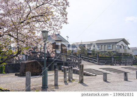 Kyoto, Yawata City: Yasui Bridge and cherry blossoms 139062831