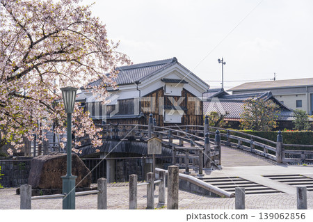 Kyoto, Yawata City: Yasui Bridge and cherry blossoms 139062856