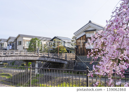 京都八幡市：安井橋與櫻花 139062868