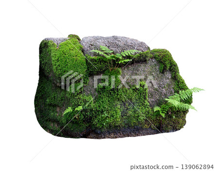 stone nice with moss and fern isolated on white background 139062894