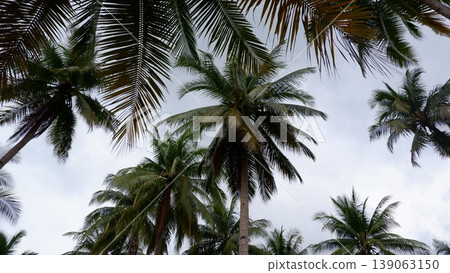 Granite Boulders on White Sand Beach with Palms Granite Boulders on White Sand Beach with Palms 139063150