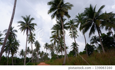 Lush Green Palms and Granite Formations at Siangau Shore Lush Green Palms and Granite Formations at Siangau Shore 139063160