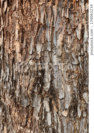 close up of tree bark texture close up of tree bark texture 139063234