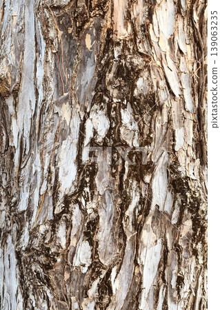 close up of tree bark texture close up of tree bark texture 139063235