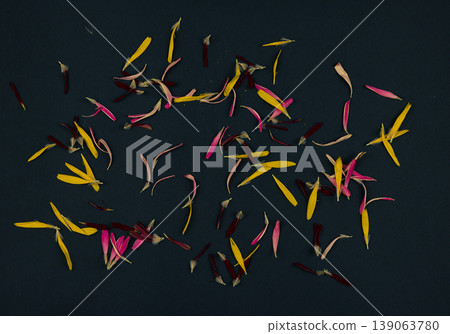 yellow flower petals on black background yellow flower petals on black background 139063780