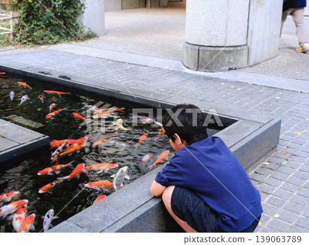 一個男孩喜歡餵鯉魚 一個男孩喜歡餵鯉魚 139063789