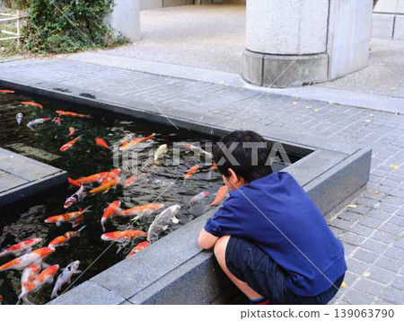 A boy enjoying feeding carp 139063790