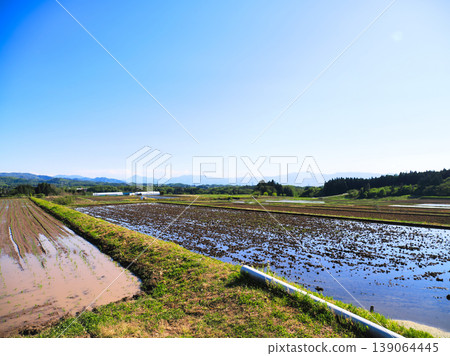 耕作後，大片稻田盡收眼底。 139064445