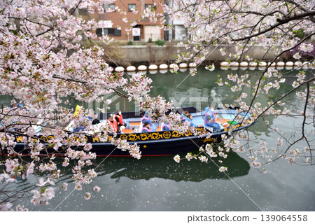 Cherry blossoms in full bloom on the Ooka River in Yokohama, and sightseeing boats enjoying the blossoms. Cherry blossoms in full bloom on the Ooka River in Yokohama, and sightseeing boats enjoying the blossoms. 139064558