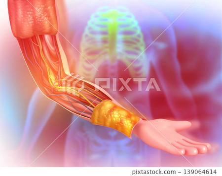 Human hand anatomy on medical background Human hand anatomy on medical background 139064614