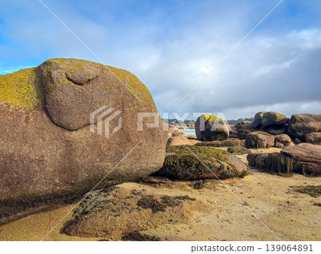Moss covered granite boulders on sandy shore in Tregastel Brittany France Moss covered granite boulders on sandy shore in Tregastel Brittany France 139064891