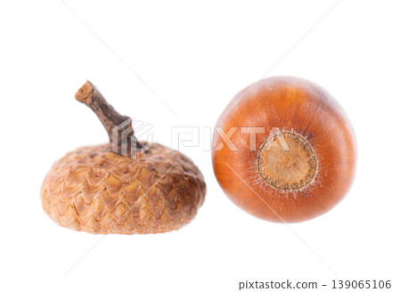 Acorn oak isolated on white background. Ripe brown acorn. Clipping path. Acorn oak isolated on white background. Ripe brown acorn. Clipping path. 139065106