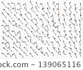 Rusty nails standing in profusion 139065116