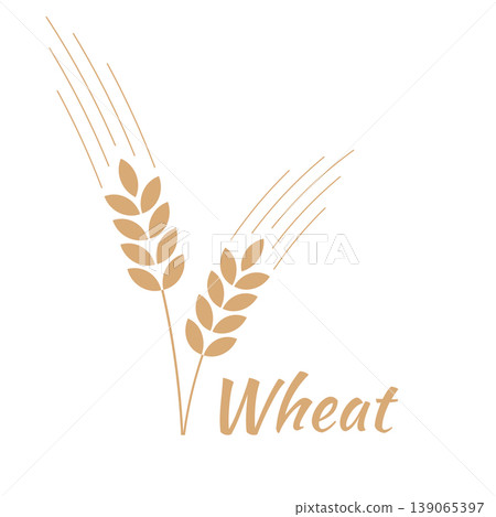 wheat ears with grain and stem 139065397