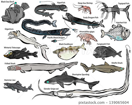 一組以水彩風格繪製的深海魚類插圖。 139065604