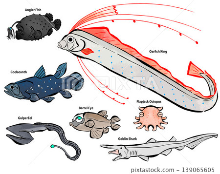 一組水彩風格的經典深海魚類插圖。 一組水彩風格的經典深海魚類插圖。 139065605