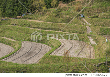 飛鳥村風景名勝：奈良縣高市郡神村梯田 139065677