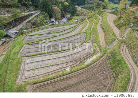 Asuka Village's Scenic Spot: Kamura Rice Terraces, Takaichi District, Nara Prefecture Asuka Village's Scenic Spot: Kamura Rice Terraces, Takaichi District, Nara Prefecture 139065683