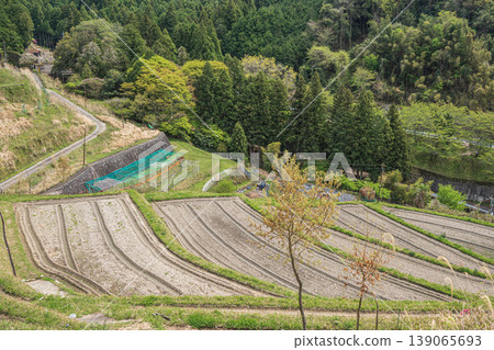 Asuka Village's Scenic Spot: Kamura Rice Terraces, Takaichi District, Nara Prefecture Asuka Village's Scenic Spot: Kamura Rice Terraces, Takaichi District, Nara Prefecture 139065693
