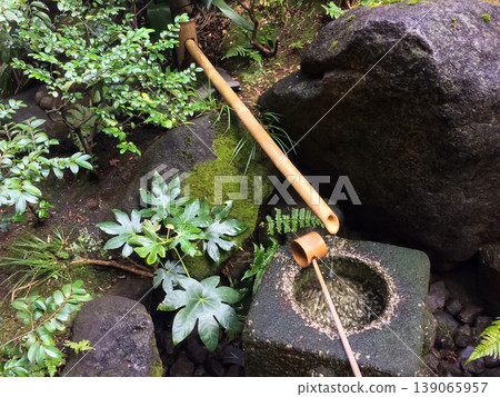 A Japanese garden's water basin, moss-covered rocks and clear water. A Japanese garden's water basin, moss-covered rocks and clear water. 139065957