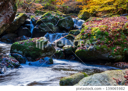 赤西谷晚秋景色，第34部分，兵庫縣紫蘇市 139065982