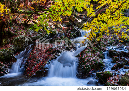 赤西谷晚秋景色，第27部分，兵庫縣紫蘇市 139065984