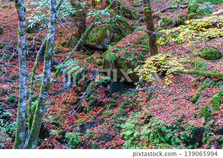 Late Autumn Scenery of Akanishi Valley, Part 36: Shiso City, Hyogo Prefecture Late Autumn Scenery of Akanishi Valley, Part 36: Shiso City, Hyogo Prefecture 139065994