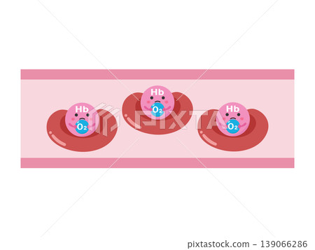 Hemoglobin 3, which carries small amounts of oxygen. 139066286