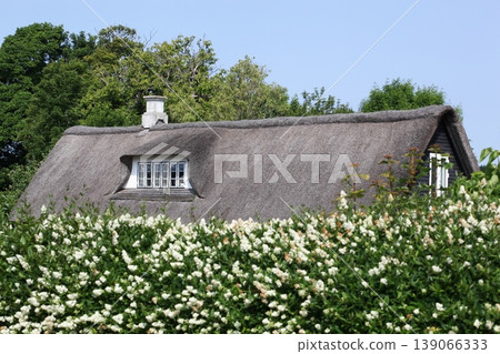 Typical thatched roof on the island of Tuno, Denmark Typical thatched roof on the island of Tuno, Denmark 139066333