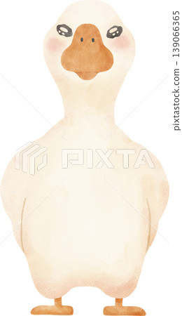 Goose Soft Watercolor Clipart Cute Goose Poses Hand drawing Illustration Goose Soft Watercolor Clipart Cute Goose Poses Hand drawing Illustration 139066365