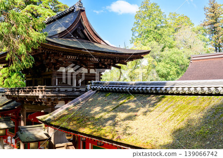 【奈良縣】天理市磯之神神社(照片拍攝於2026年4月2日) 【奈良縣】天理市磯之神神社(照片拍攝於2026年4月2日) 139066742