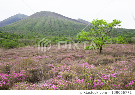 高千穗峰和Miyama Kirishima 高千穗峰和Miyama Kirishima 139066771