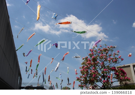 東京天空樹鯉魚飄帶 東京天空樹鯉魚飄帶 139066818