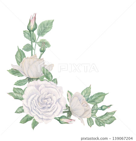 Watercolor illustration of white rose corner frame on isolated background. Flowers, buds and green leaves border with empty space for text. Floral template for wedding invitation and greeting card. Watercolor illustration of white rose corner frame on isolated background. Flowers, buds and green leaves border with empty space for text. Floral template for wedding invitation and greeting card. 139067204