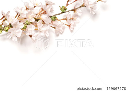 Cherry background Cherry background 139067278
