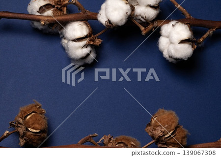 Cotton background Cotton background Cotton background Cotton background 139067308