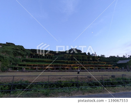 佐渡島 2 139067553