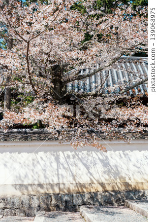 櫻花在京都南禪寺 櫻花在京都南禪寺 139068975